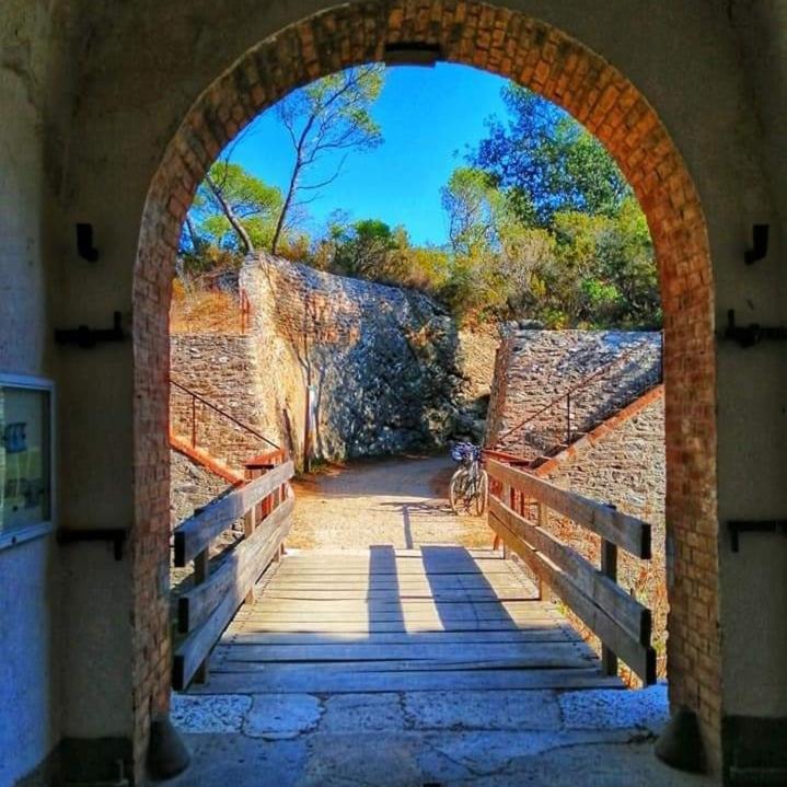 Hebergements Bateaux A Quai Porquerolles Dış mekan fotoğraf