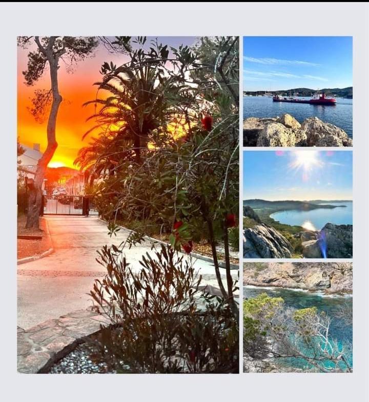 Hebergements Bateaux A Quai Porquerolles Dış mekan fotoğraf